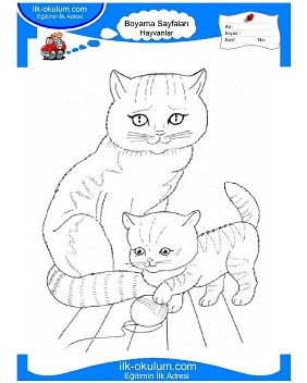 Çocuklar İçin Kedi Boyama Sayfaları 